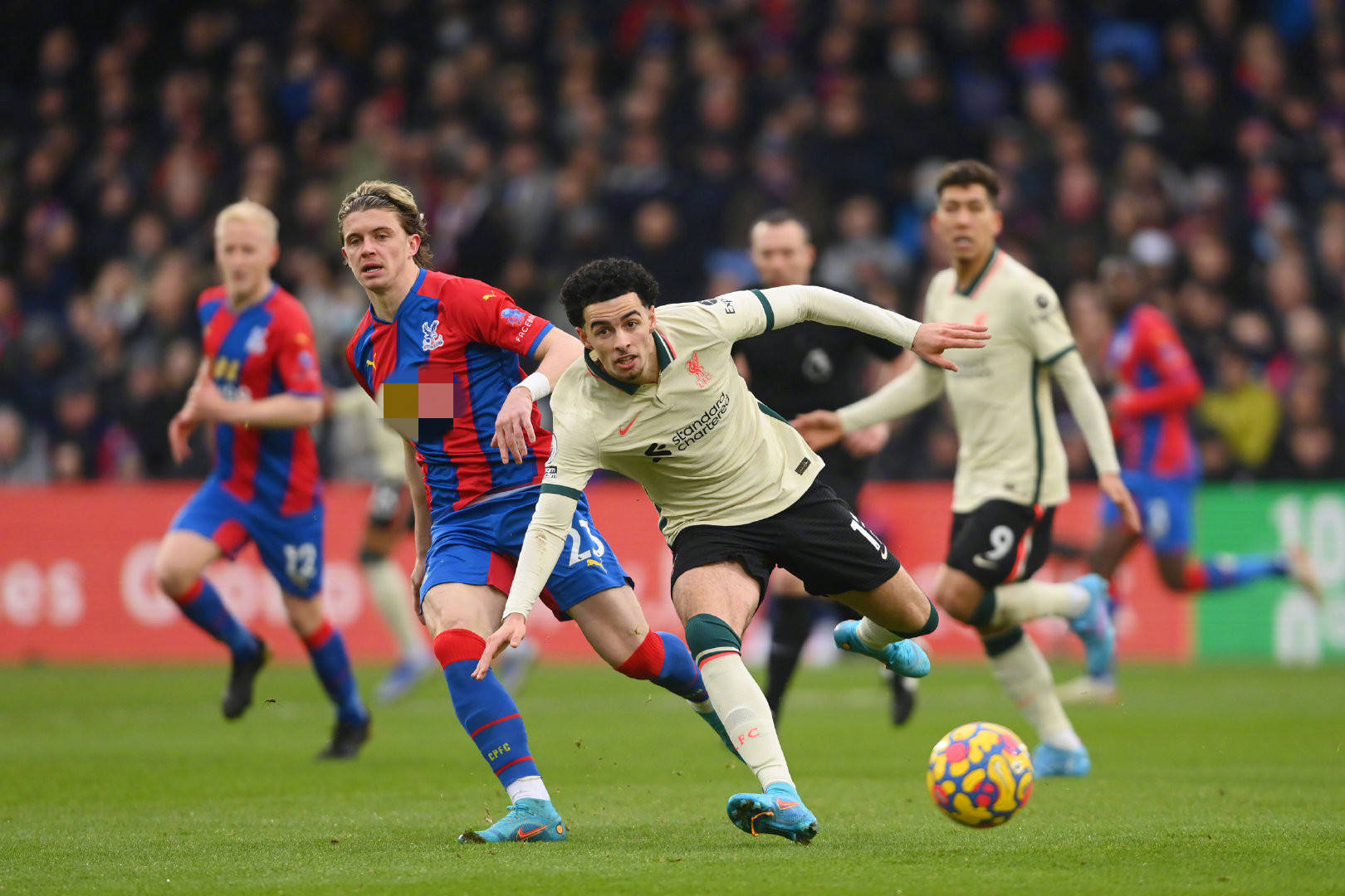 与使整个传 与使整个传