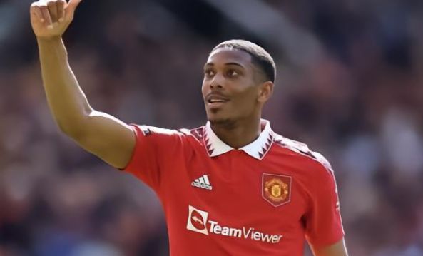 霍奇森对足 霍奇森对足